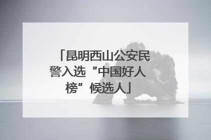 昆明西山公安民警入选“中国好人榜”候选人